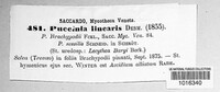 Puccinia sessilis image
